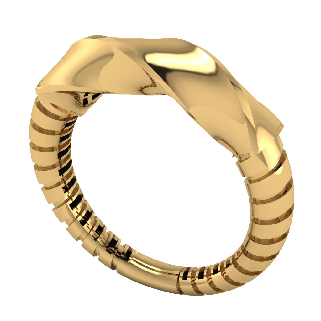 rings-asm-asm403.webp Кольца ASM403 — изображение 1