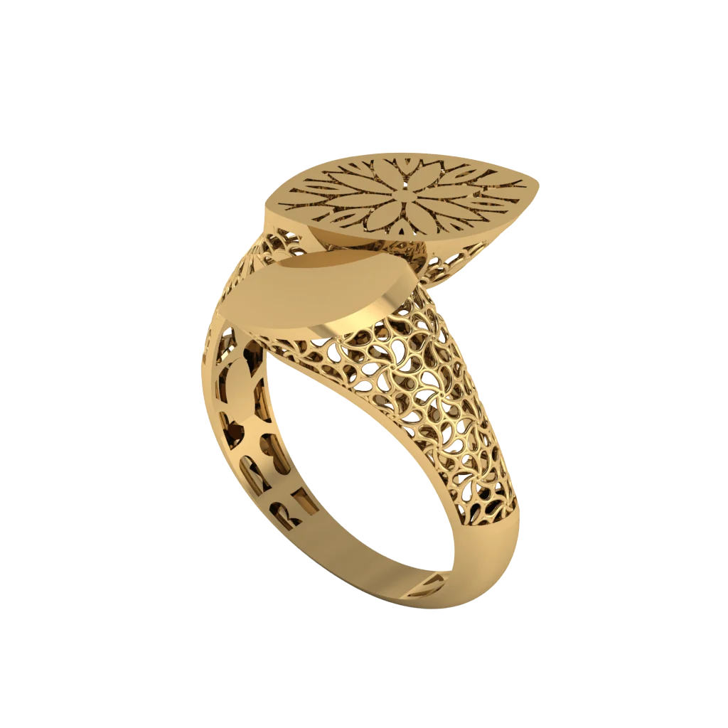 rings-fc-fc110.webp Кольца FC110 — изображение 1