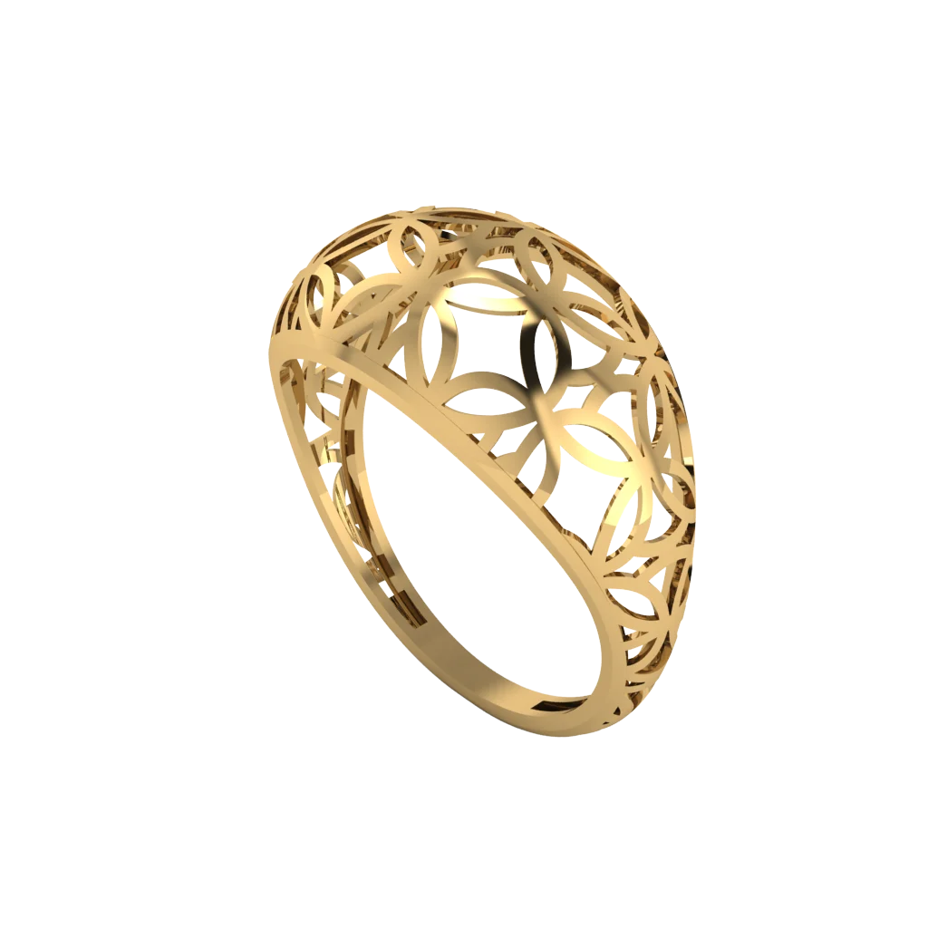 rings-fc-fc150.webp Кольца FC150 — изображение 1