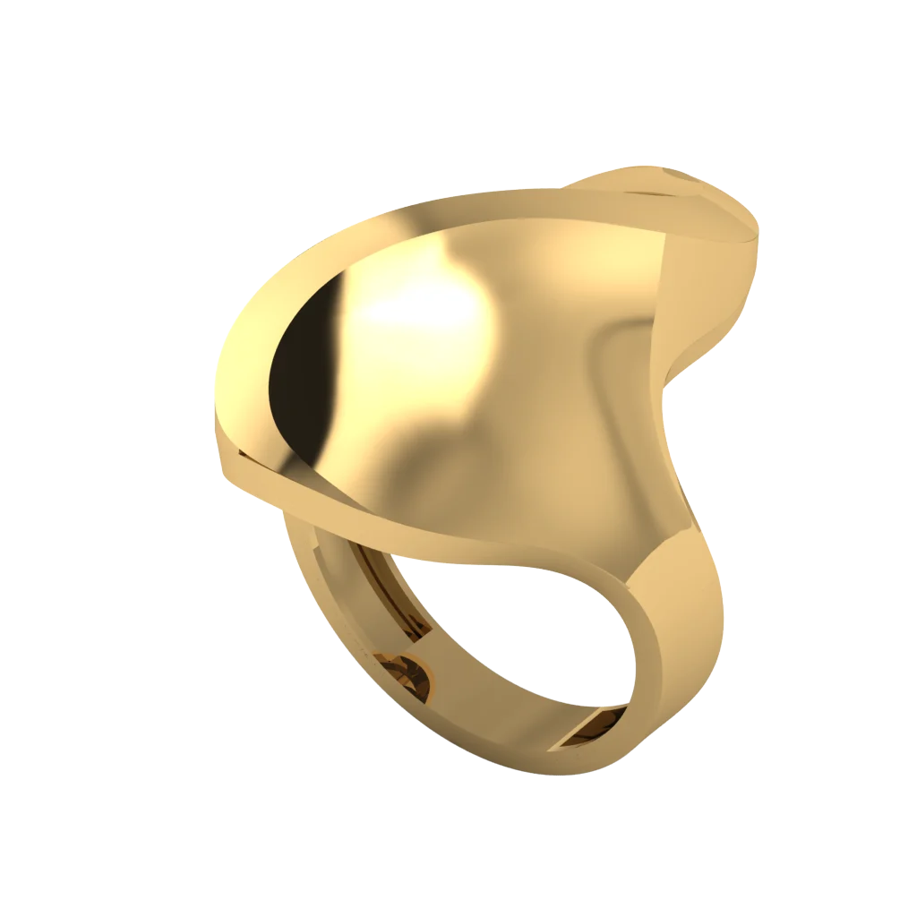 rings-fm-fm40.webp Кольца FM040 — изображение 1